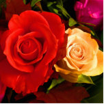 Red Yellow Rose Photo Sculpture photo sculptures