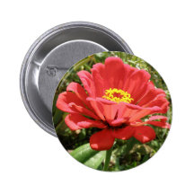 Red Zinnia Button