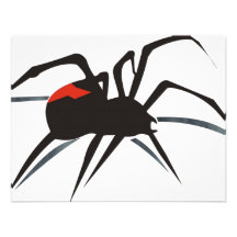 Redback Spider Custom Invites