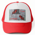 Redbird cap-customise hats