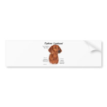 Redbone Coonhound History Design