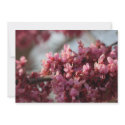 Redbud Flower Invitation Card
