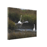 Reddish Egret III Wrapped Canvas Stretched Canvas Print