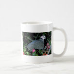Redeye'd Dove Coffee Mug