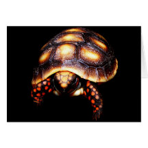 RedFoot Greeting Card