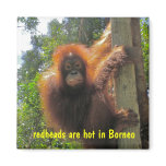 Redheads Are Hot Humour magnets