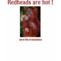 Redheads are Hot ! t-shirts