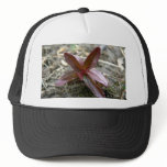 Redish Plant Sprout hats