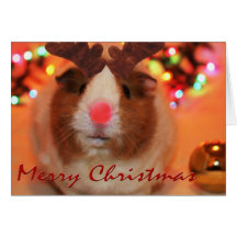 Rednose Christmas Cards
