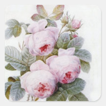 Redoute 4 (Rose) Stickers