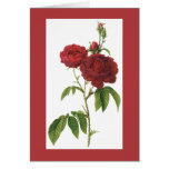 Redoute Bishop Rose Notecard