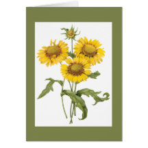 Redoute Blanket Flower Notecard