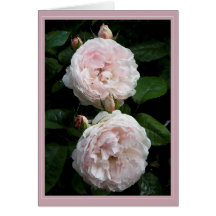 Redoute Card II