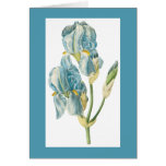 Redoute Iris Notecard