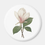 Redoute Magnolia Magnet