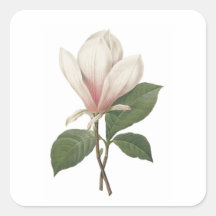 Redoute MagnoliaSquare Sticker