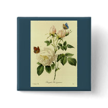 Redoute Print: 'Bengal Rose Hymanee' Pin