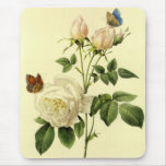 Redoute Print: 'Bengal Rose Hymanee' Mouse Pads