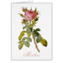 Redoute Rose  - Customisable cards