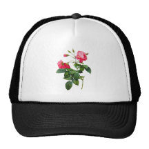 Redoute Roses Hats