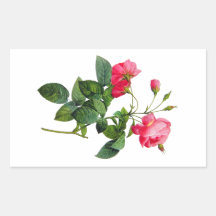 Redoute Roses Rectangular Stickers