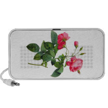 Redoute Roses Travelling Speakers