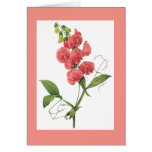 Redoute Sweet Pea Notecard