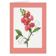 Redoute Sweet Pea Notecard