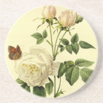 Redoute Vintage Print Bengal Rose the Hymanee Drink Coaster