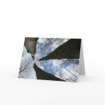 REDREAMING:LOOK UP CARDS