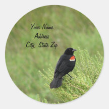 Redwing Blackbird Address Sticker