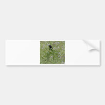 Redwing Blackbird Bumper Stickers