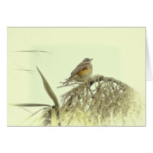 REDWING GREETING CARD