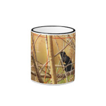 redwing_in_thicket coffee mugs