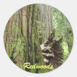 Redwood stickers Big Redwoods Tree Forest