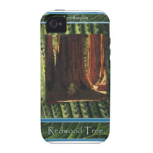 Redwood Tree - Apotheosis Case For The iPhone 4