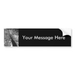 Redwood Tree Black and White bumper stickers