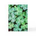 Redwoods Clover Note Cards