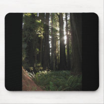 Redwoods Mouse Pad