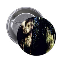 Redwoood Forest Buttons