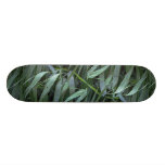Reed during rain skate decks