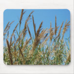 Reed grass on a lake mousepads