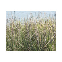 Reeds grass and water stretched canvas prints