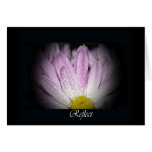Reflect Card