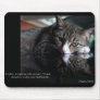 Reflect (Cat) Mousepad