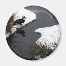 Reflect Magnet