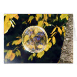 Reflected Autumn Leaves Greeting Card