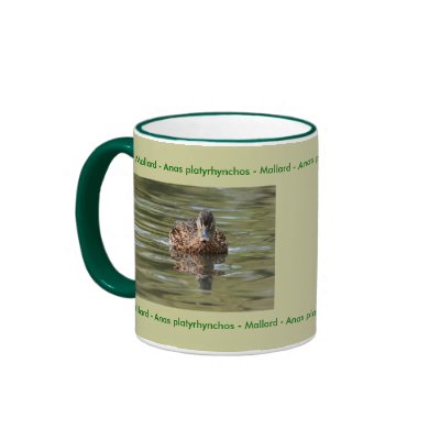 Reflected Mallard Mug by Welshpixels