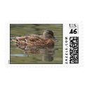 Reflected Mallard Postage postage