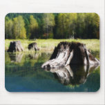 Reflected Stumps in Autumn Lake Mouse Mats